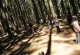 kachla_2018_0272