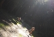 kachla_2018_0277