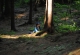kachla_2018_0622