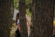 kachla_2018_0735