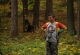 2_den (52)