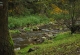 2_den (95)