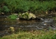 2_den (98)