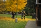3_den (1)