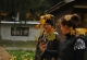 3_den (12)