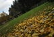 3_den (38)